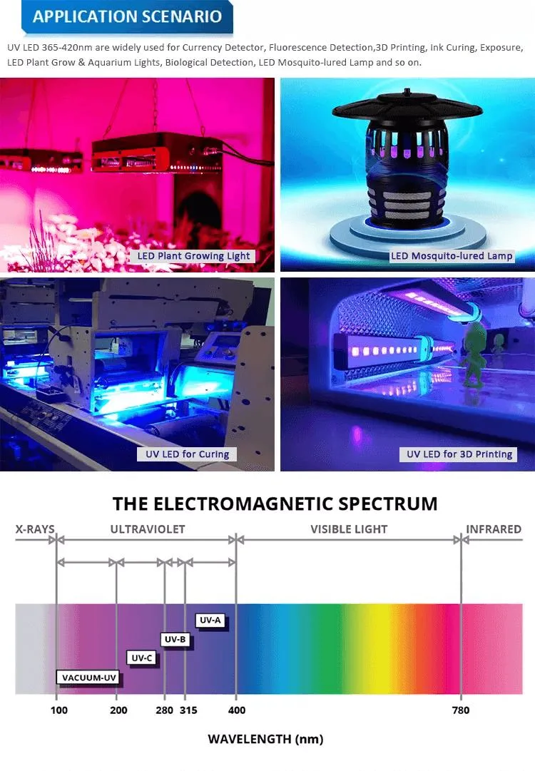 5050 UV Module COB LED UVA 365nm 395nm 405nm for Ink Curing Printing